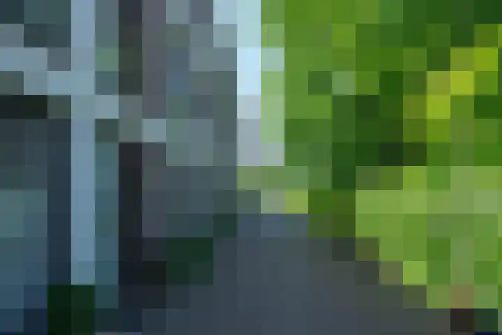 Piet van der Meerhof 30 Rotterdam thumbnail 5