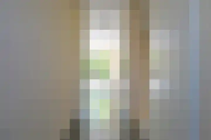 Piet van der Meerhof 30 Rotterdam thumbnail 8