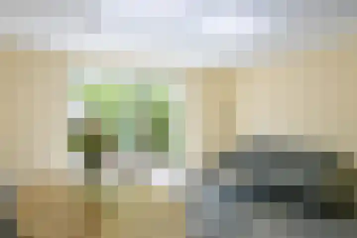 Piet van der Meerhof 30 Rotterdam thumbnail 9