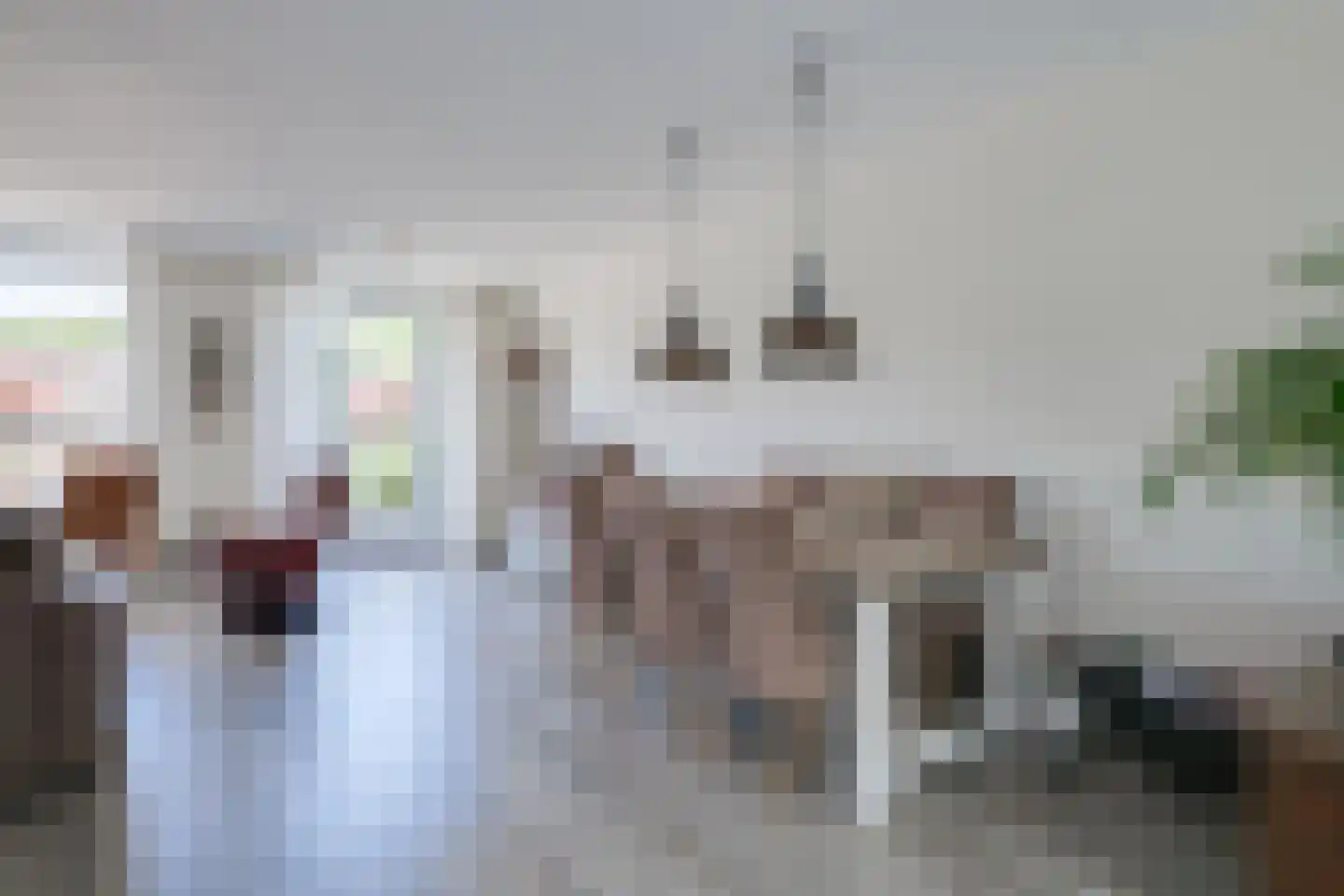 Piet van der Vossenstraat 4 's-Heerenberg thumbnail 10