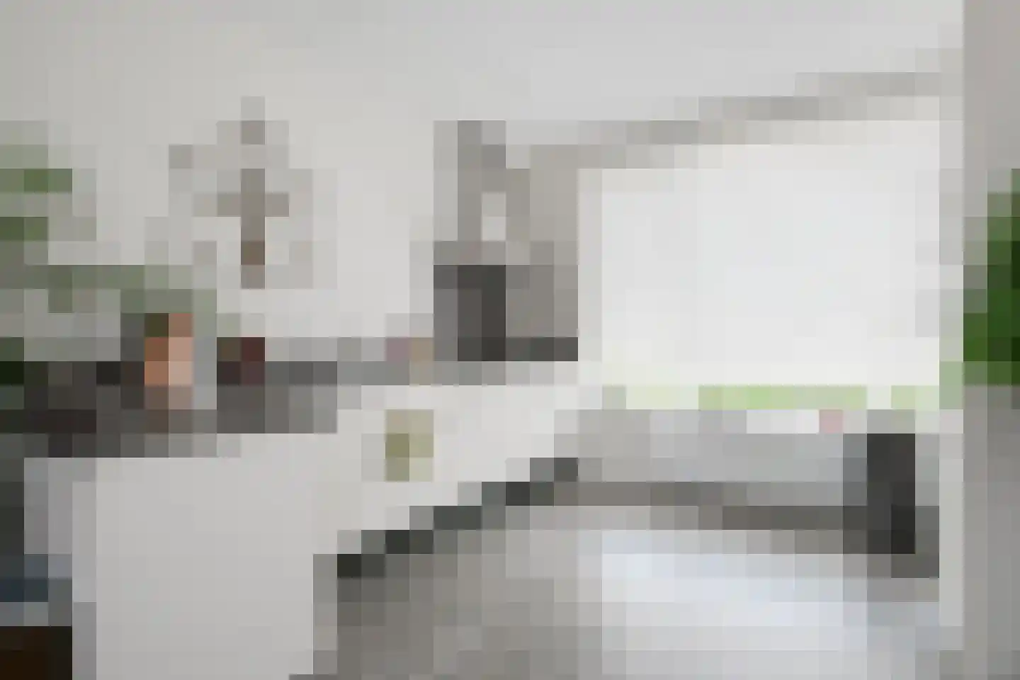 Piet van der Vossenstraat 4 's-Heerenberg thumbnail 20