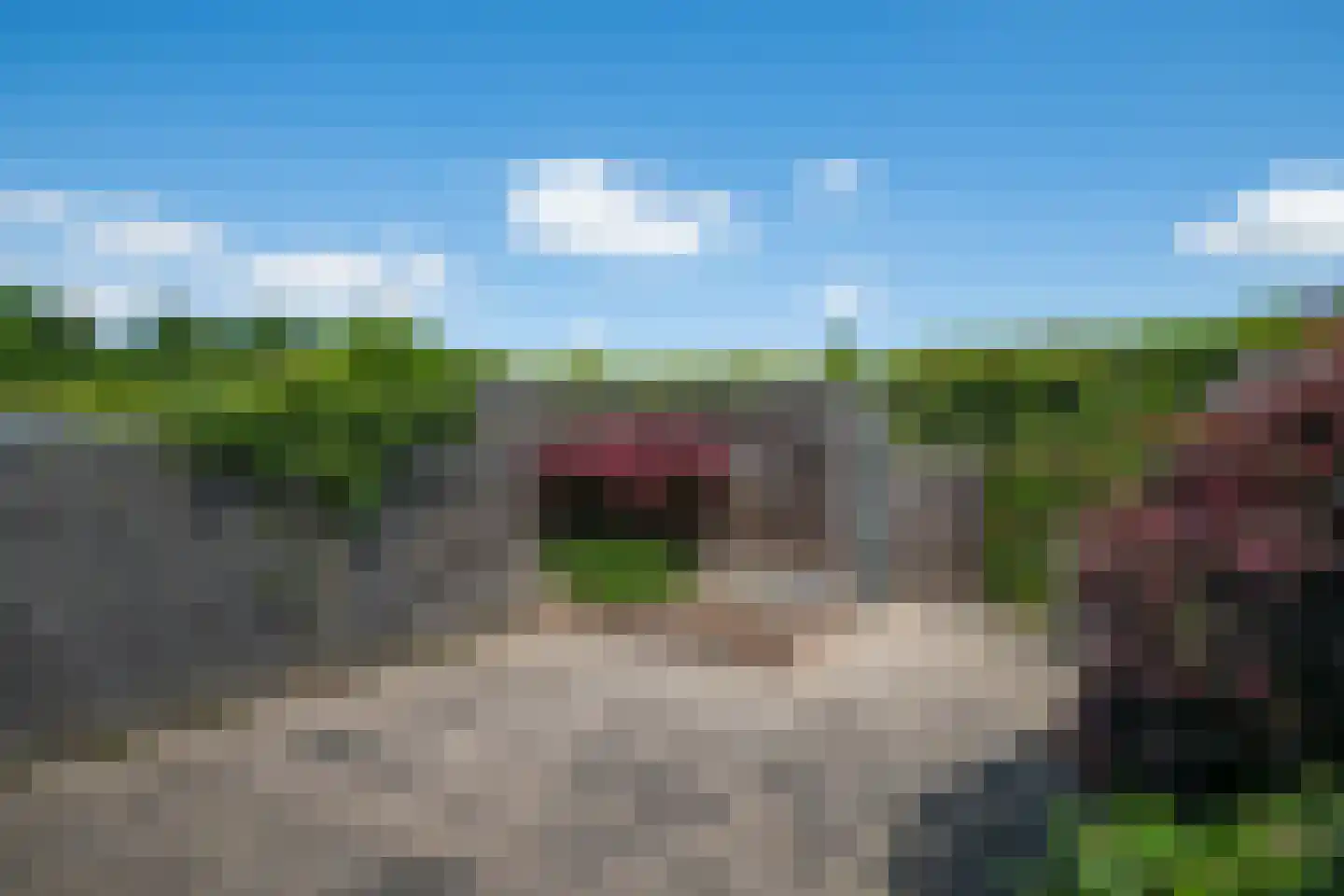 Piet van der Vossenstraat 4 's-Heerenberg thumbnail 42
