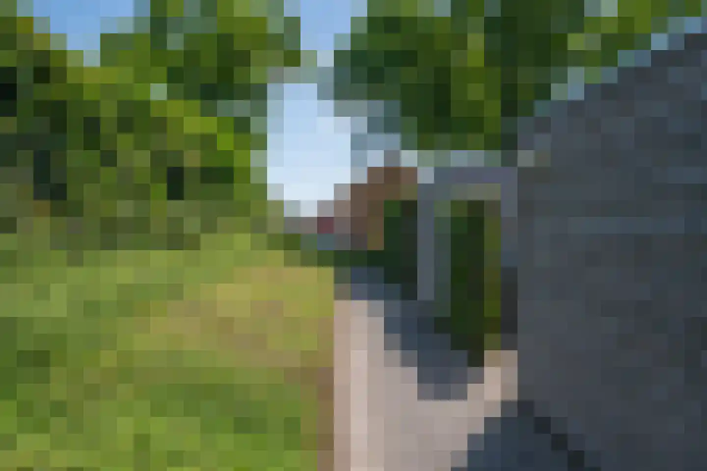 Piet van der Vossenstraat 4 's-Heerenberg thumbnail 46