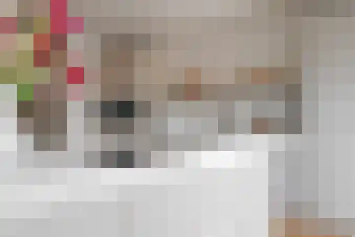 Piet van Kampenstraat 3 Blokker thumbnail 10