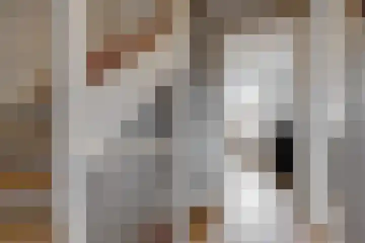 Piet van Kampenstraat 3 Blokker thumbnail 26