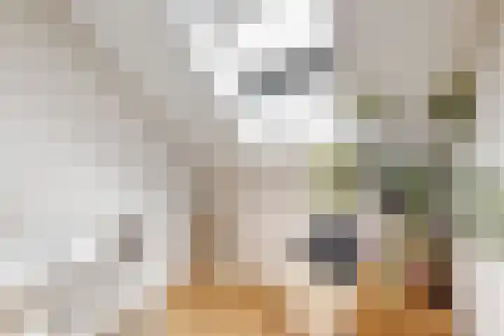 Piet van Kampenstraat 3 Blokker thumbnail 28