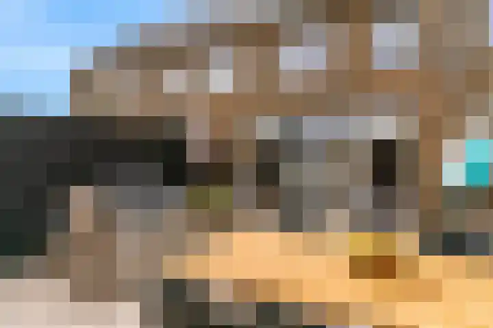 Piet van Kampenstraat 3 Blokker thumbnail 33