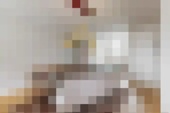 Piet van Kampenstraat 3 Blokker thumbnail 4