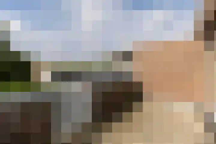 Piet van Thielplein 15 a Beek en Donk thumbnail 10