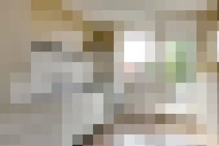 Piet van Thielplein 15 a Beek en Donk thumbnail 13