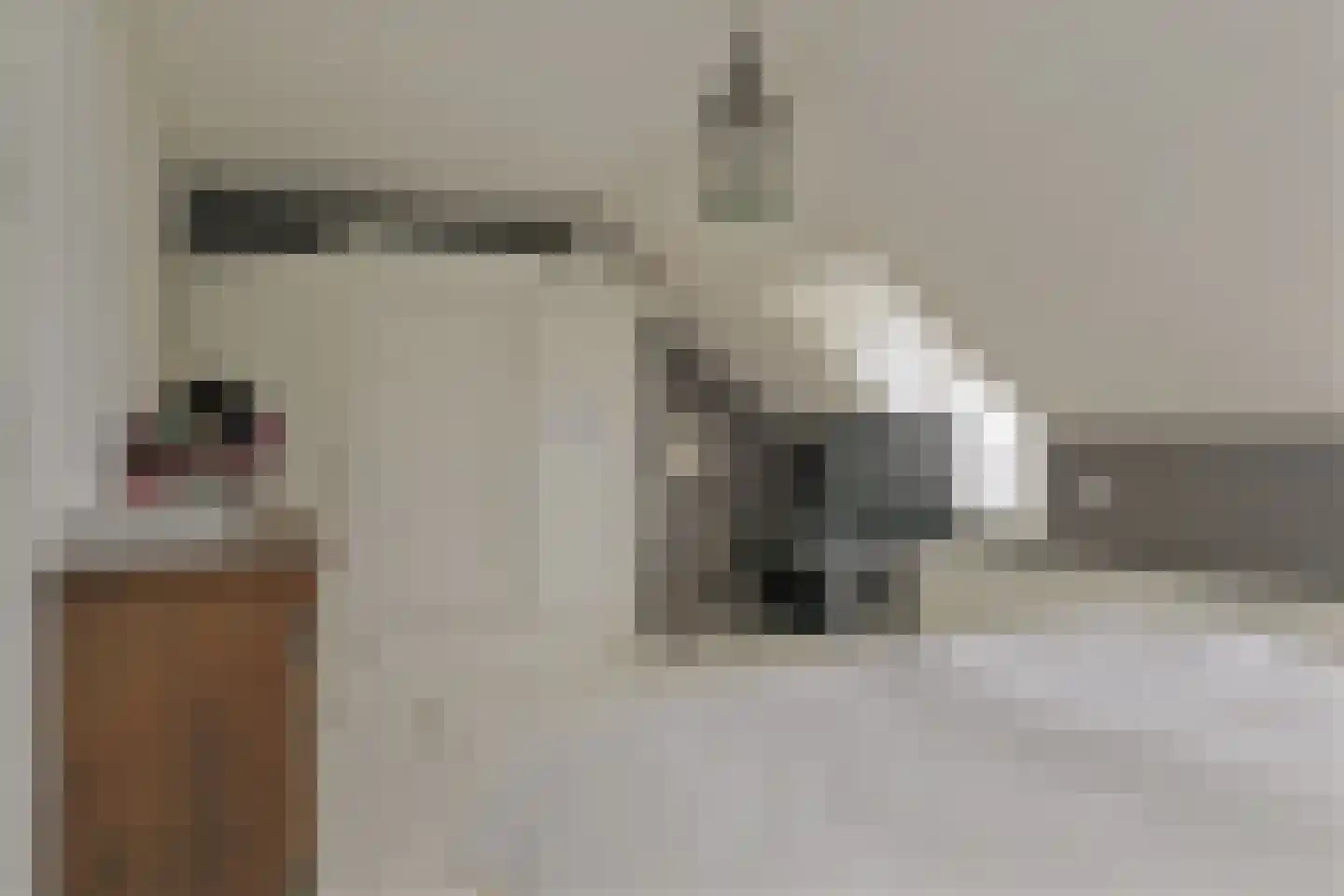 Piet van Thielplein 36 Beek en Donk thumbnail 17