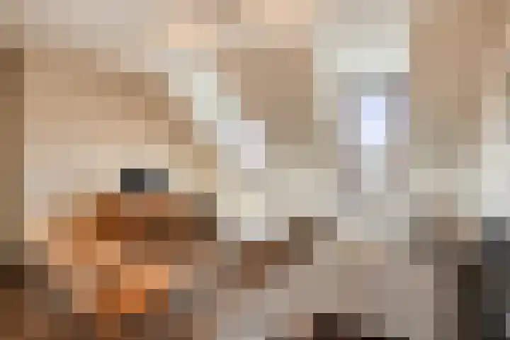Piet van Thielplein 7 b Beek en Donk thumbnail 10