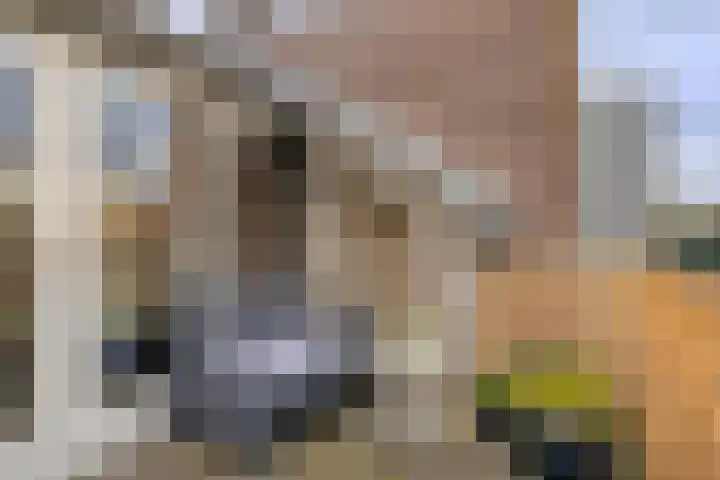 Piet van Thielplein 7 b Beek en Donk thumbnail 14