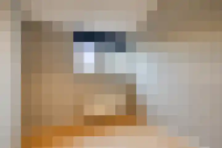 Piet van Thielplein 7 b Beek en Donk thumbnail 18