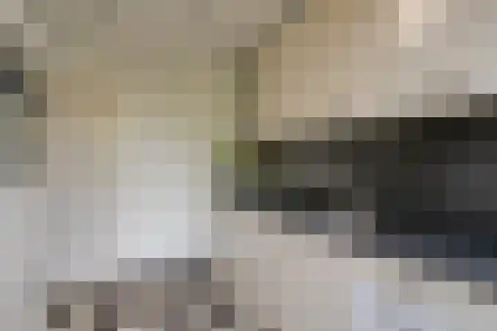 Piet van Wijngaerdtlaan 52 Abcoude thumbnail 5