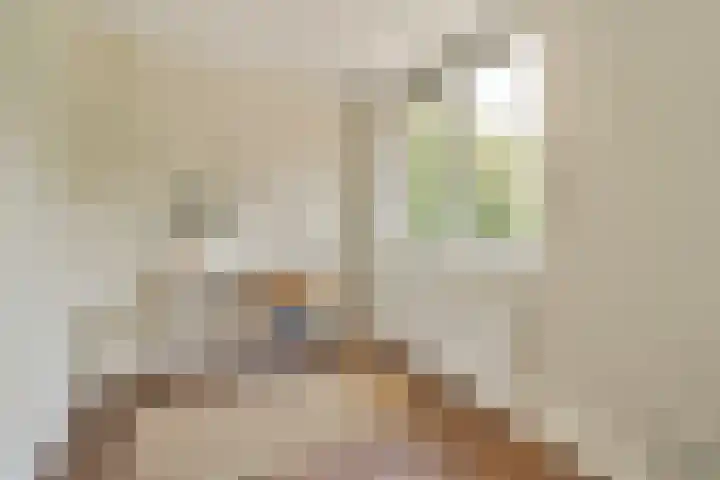 Piet Wiedijkstraat 64 Amsterdam thumbnail 14
