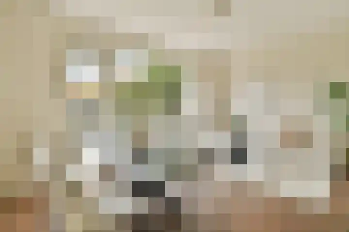 Piet Wiedijkstraat 64 Amsterdam thumbnail 4