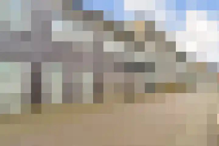 Piet Zwarthof 63 Amsterdam thumbnail 28