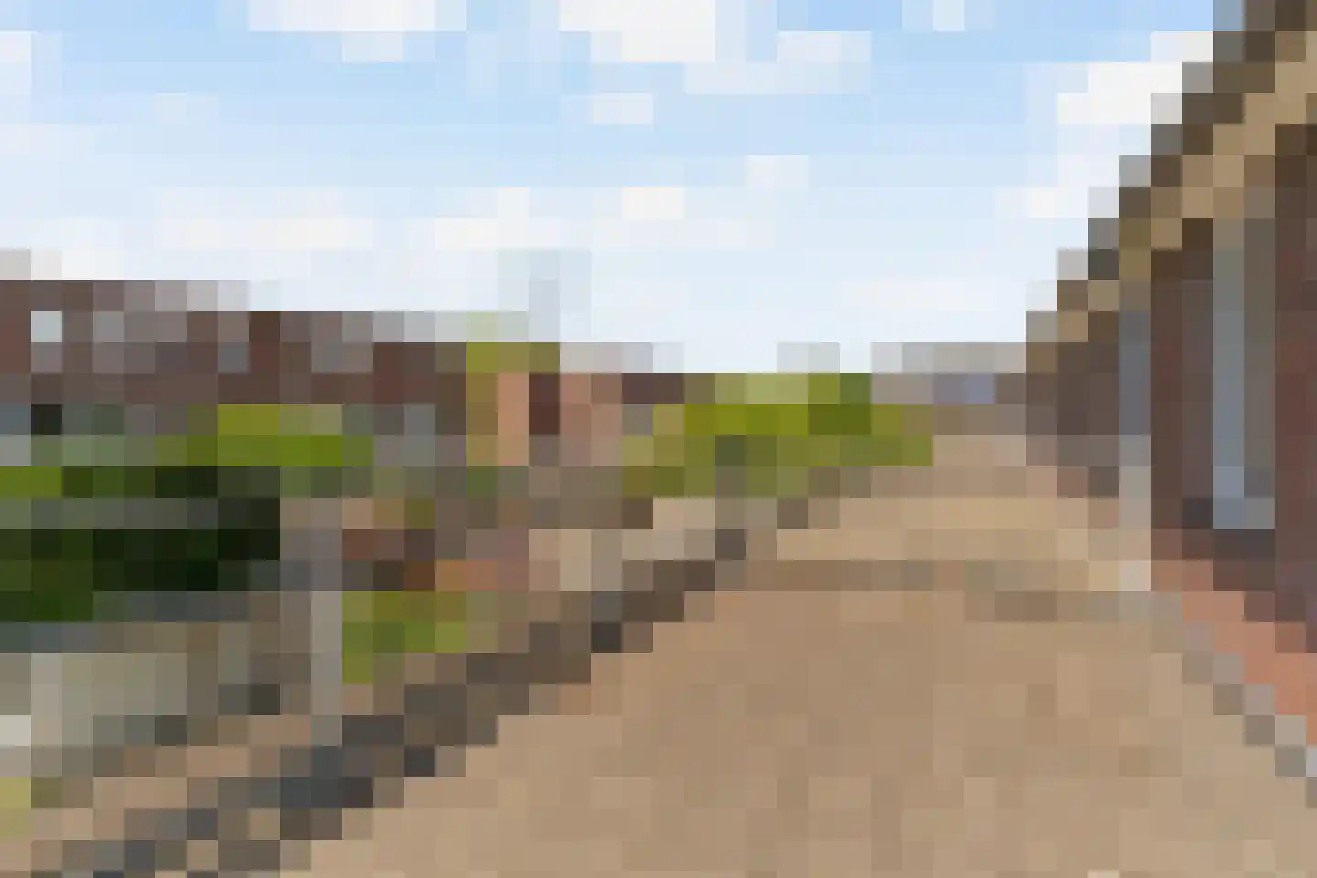 Piet Zwartstraat 23 Rotterdam thumbnail 24