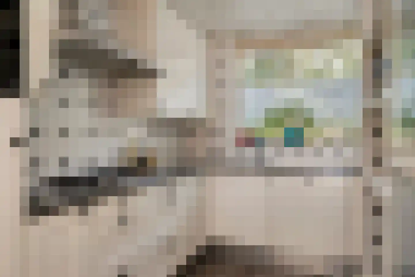 Pieter A. van Heijningestraat 123 Amsterdam thumbnail 13