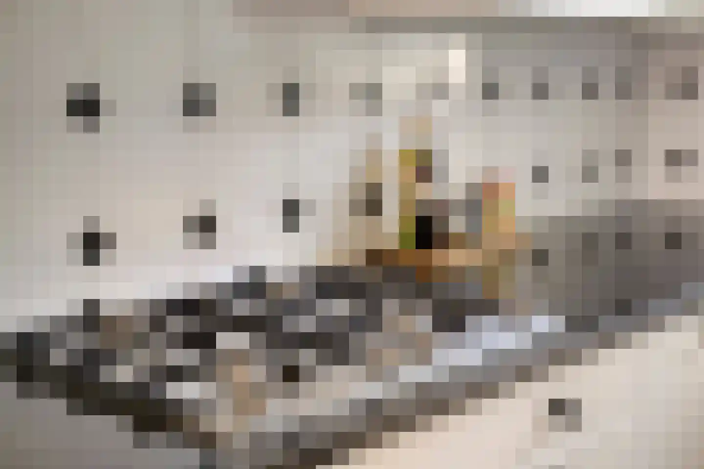 Pieter A. van Heijningestraat 123 Amsterdam thumbnail 15