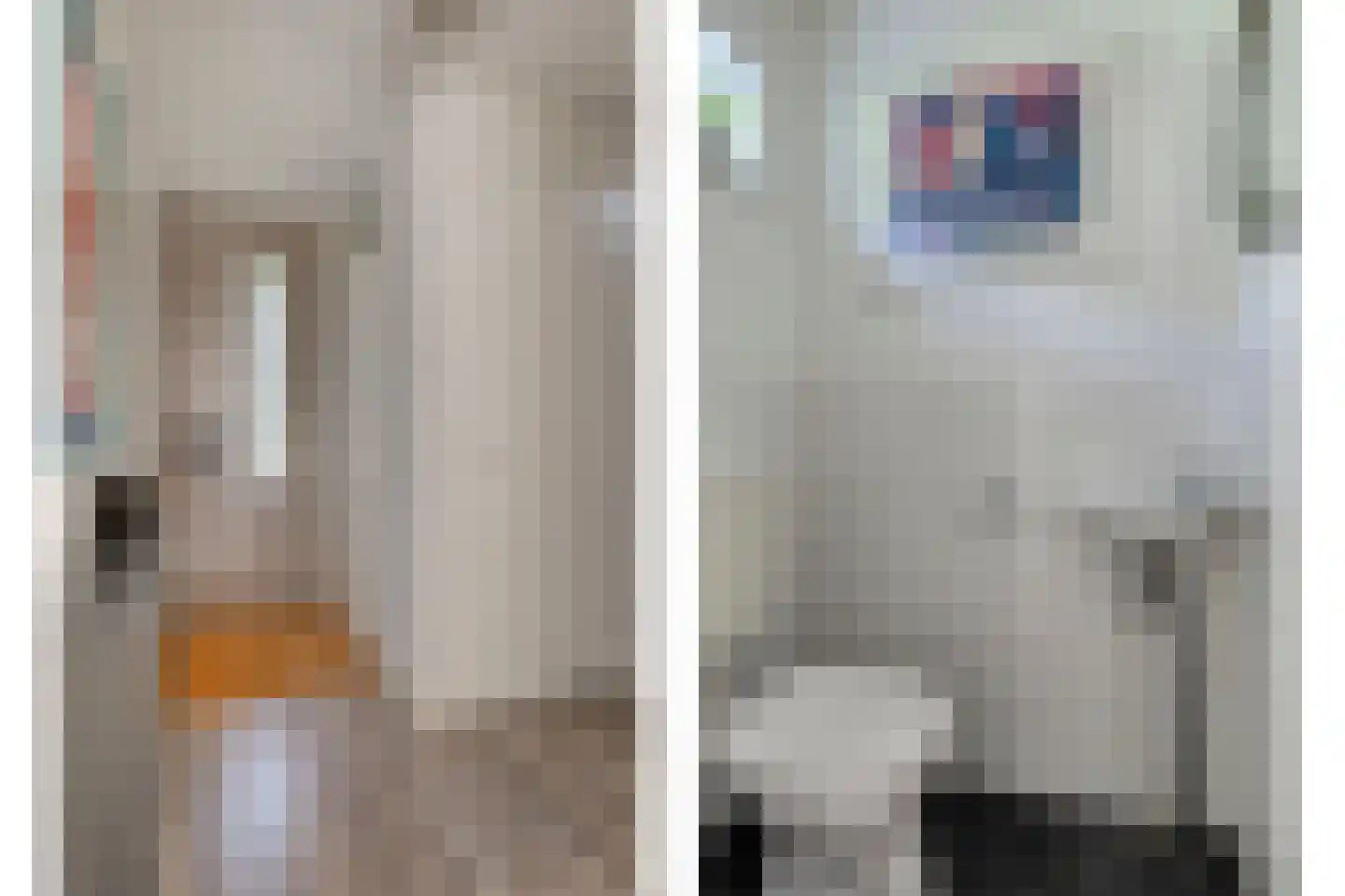 Pieter A. van Heijningestraat 123 Amsterdam thumbnail 5