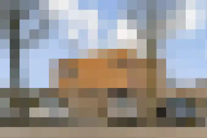 Pieter A. van Heijningestraat 69 Amsterdam thumbnail 7