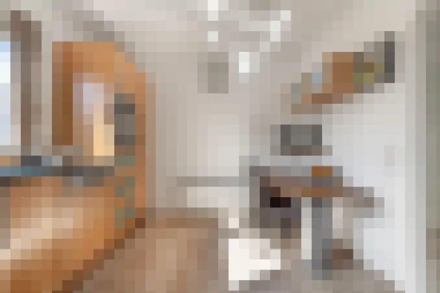 Pieter acker 18 Heemskerk thumbnail 10