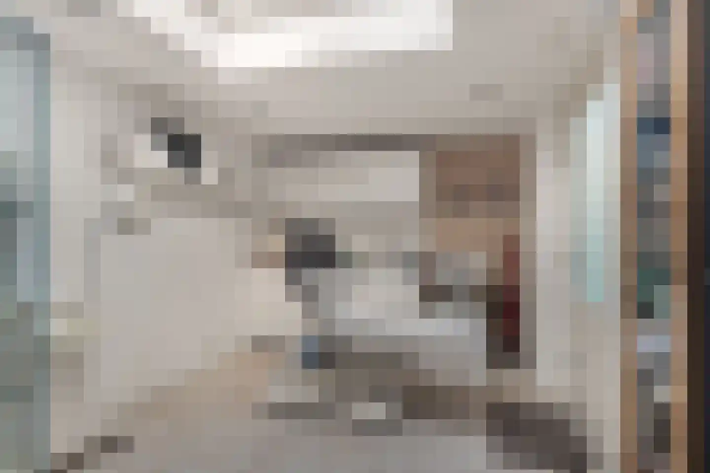 Pieter acker 18 Heemskerk thumbnail 15