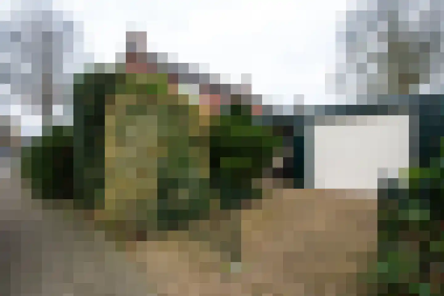 Pieter acker 18 Heemskerk thumbnail 25