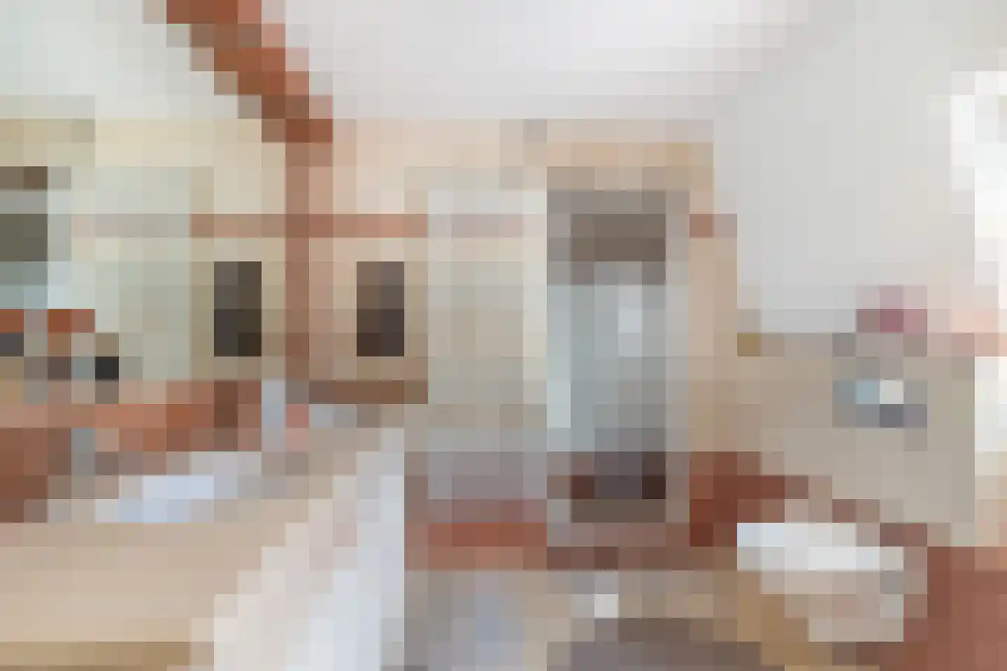 Pieter acker 18 Heemskerk thumbnail 28