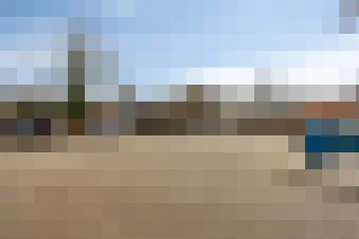 Pieter acker 18 Heemskerk thumbnail 8