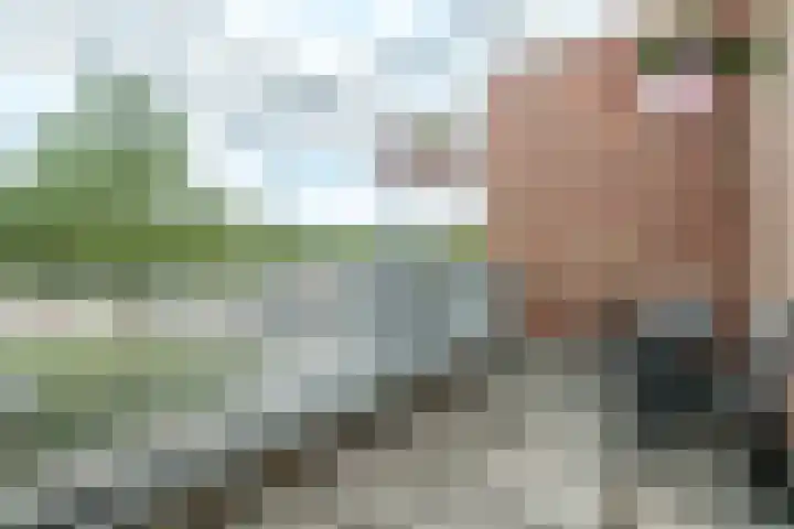 Pieter Aertsenhage 64 Nieuwegein thumbnail 18