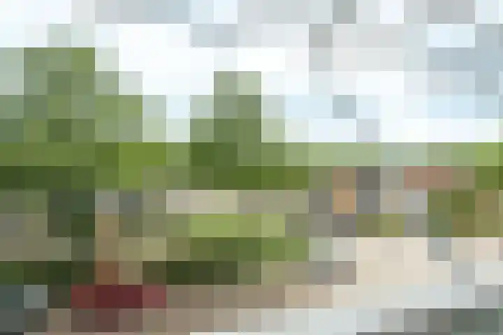 Pieter Aertsenhage 64 Nieuwegein thumbnail 19