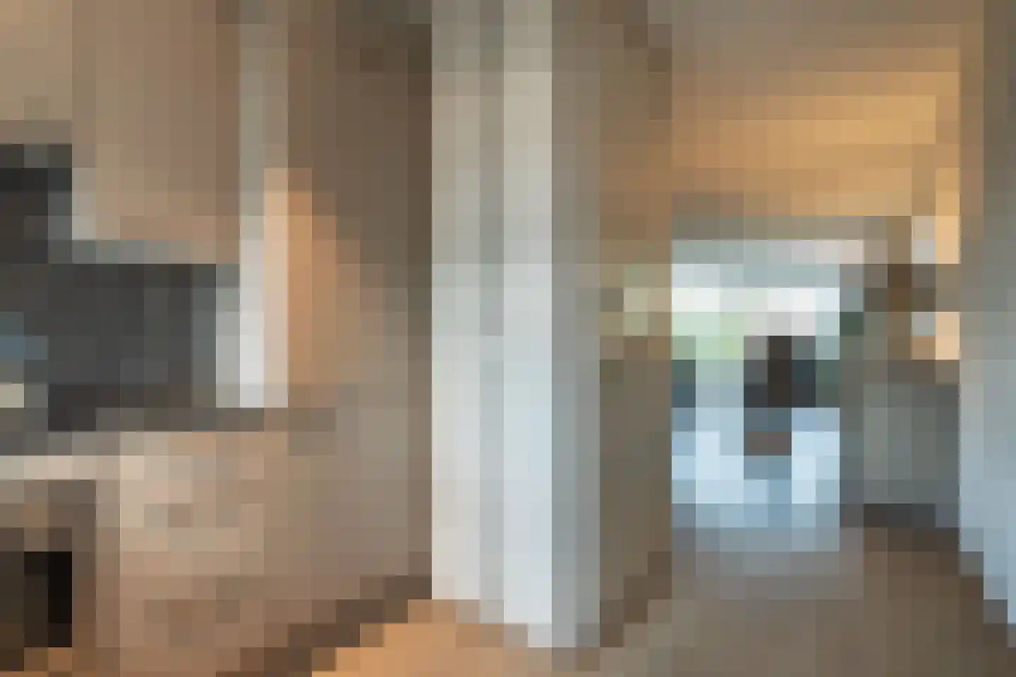 Pieter Aertsenhage 68 Nieuwegein thumbnail 11