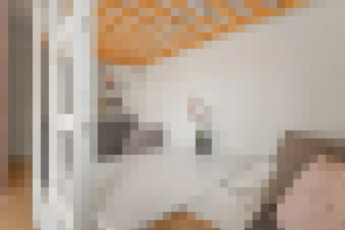 Pieter Aertsenhage 8 Nieuwegein thumbnail 15
