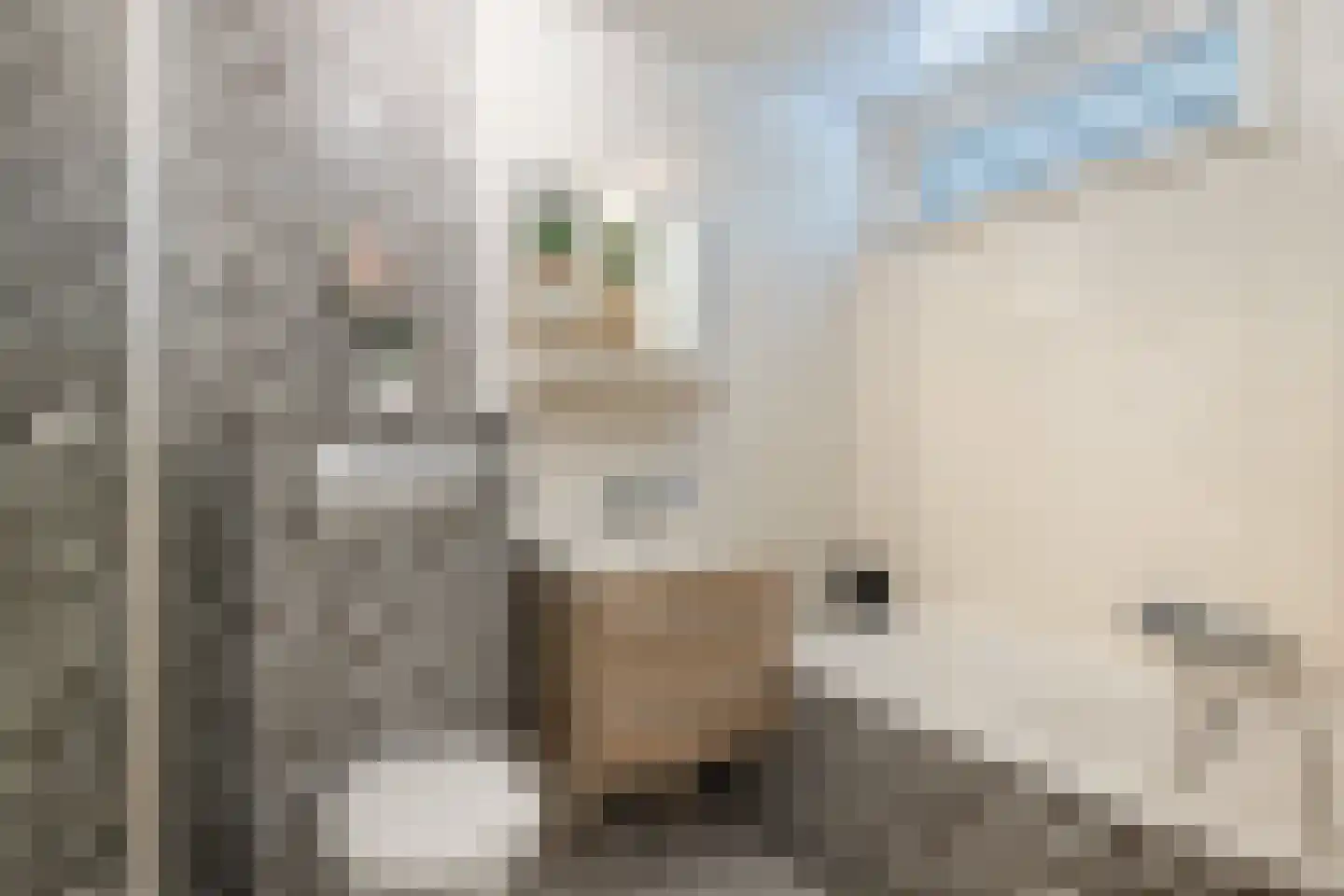 Pieter Aertsenhage 8 Nieuwegein thumbnail 28