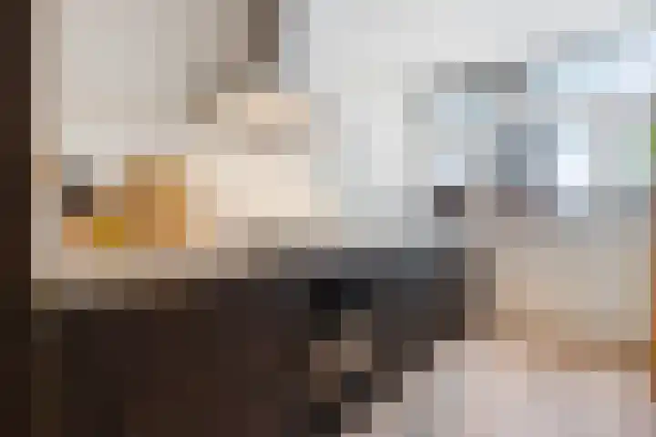 Pieter Aertsenstraat 3 Meppel thumbnail 15
