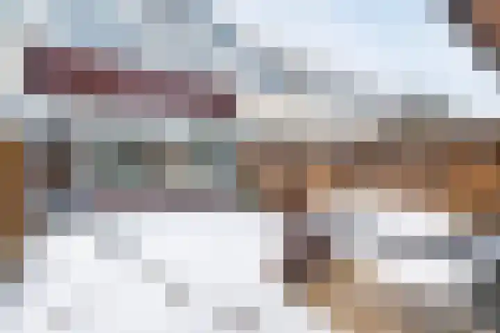 Pieter Aertsenstraat 3 Meppel thumbnail 34
