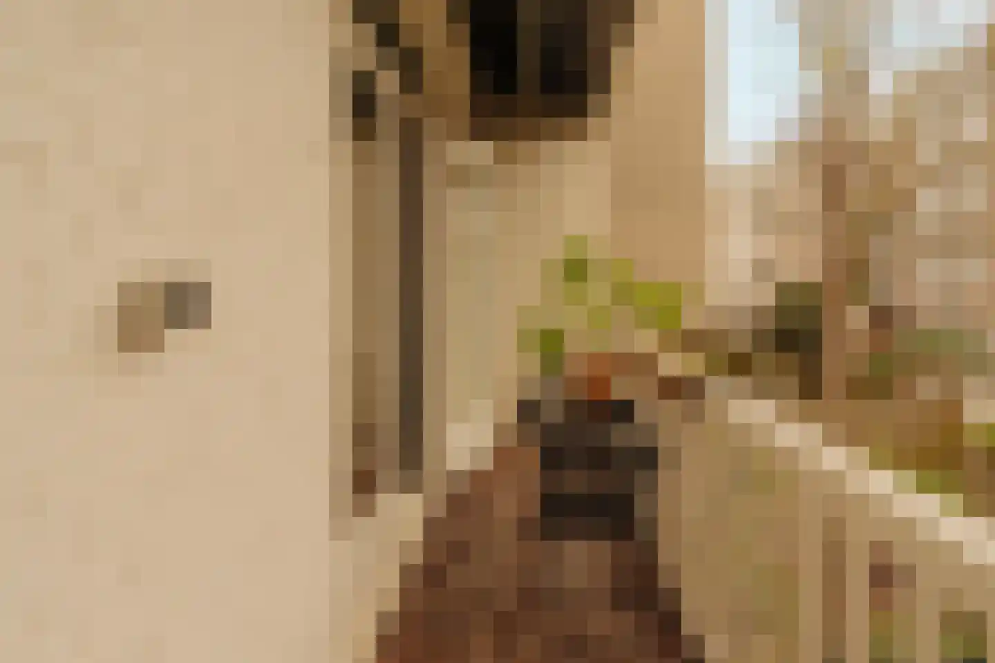 Pieter Aertszstraat 100 3 Amsterdam thumbnail 22