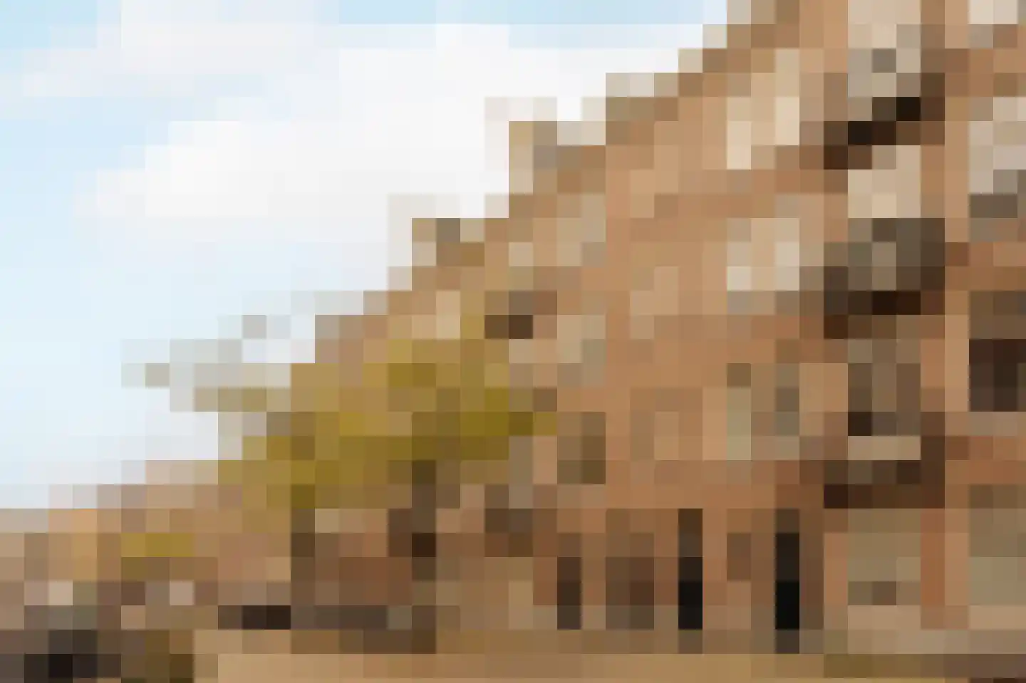 Pieter Aertszstraat 100 3 Amsterdam thumbnail 25