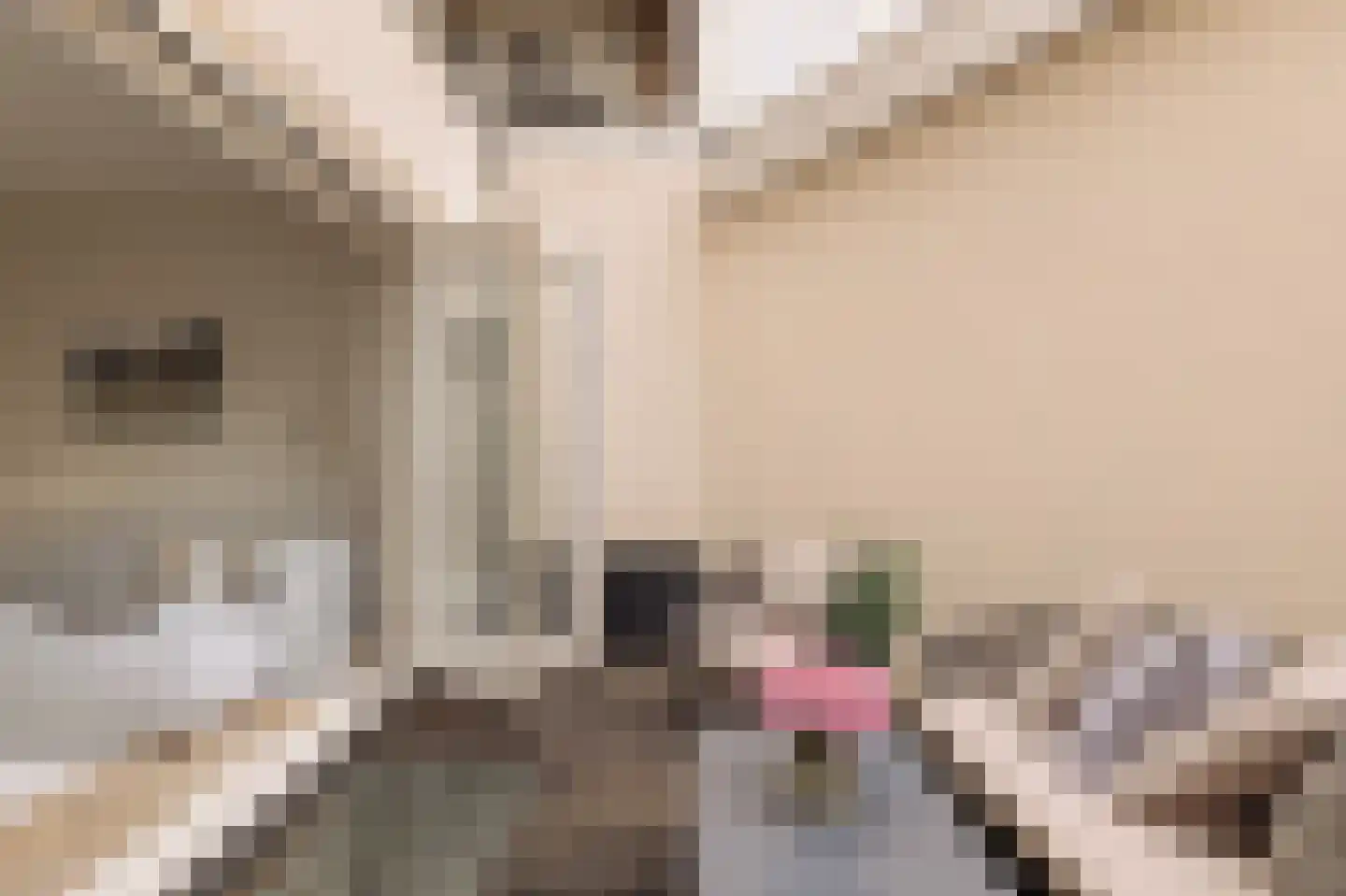 Pieter Aertszstraat 101 H Amsterdam thumbnail 10