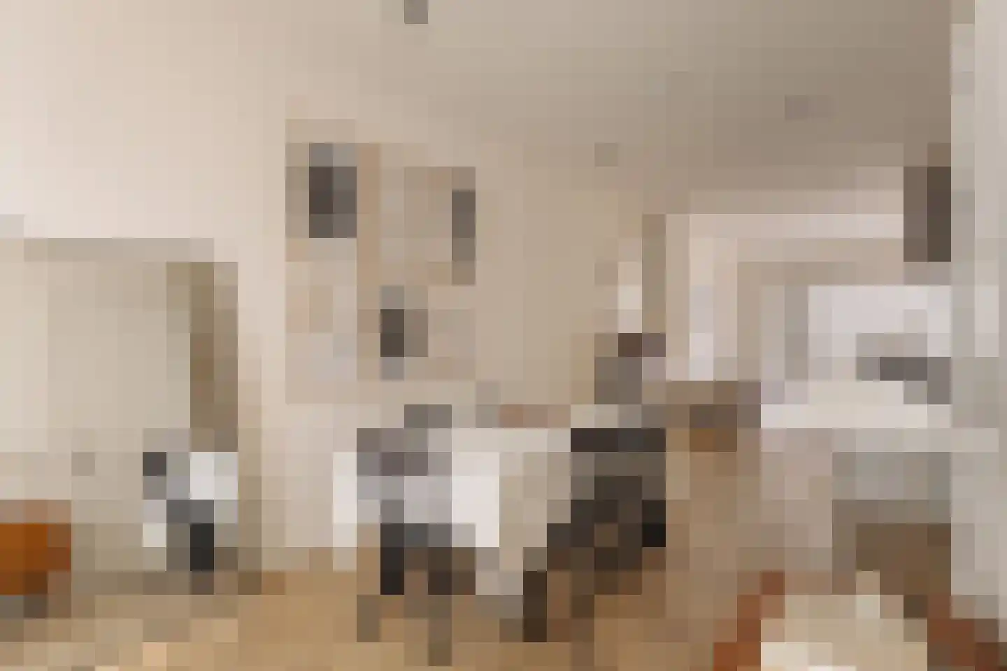 Pieter Aertszstraat 101 H Amsterdam thumbnail 15