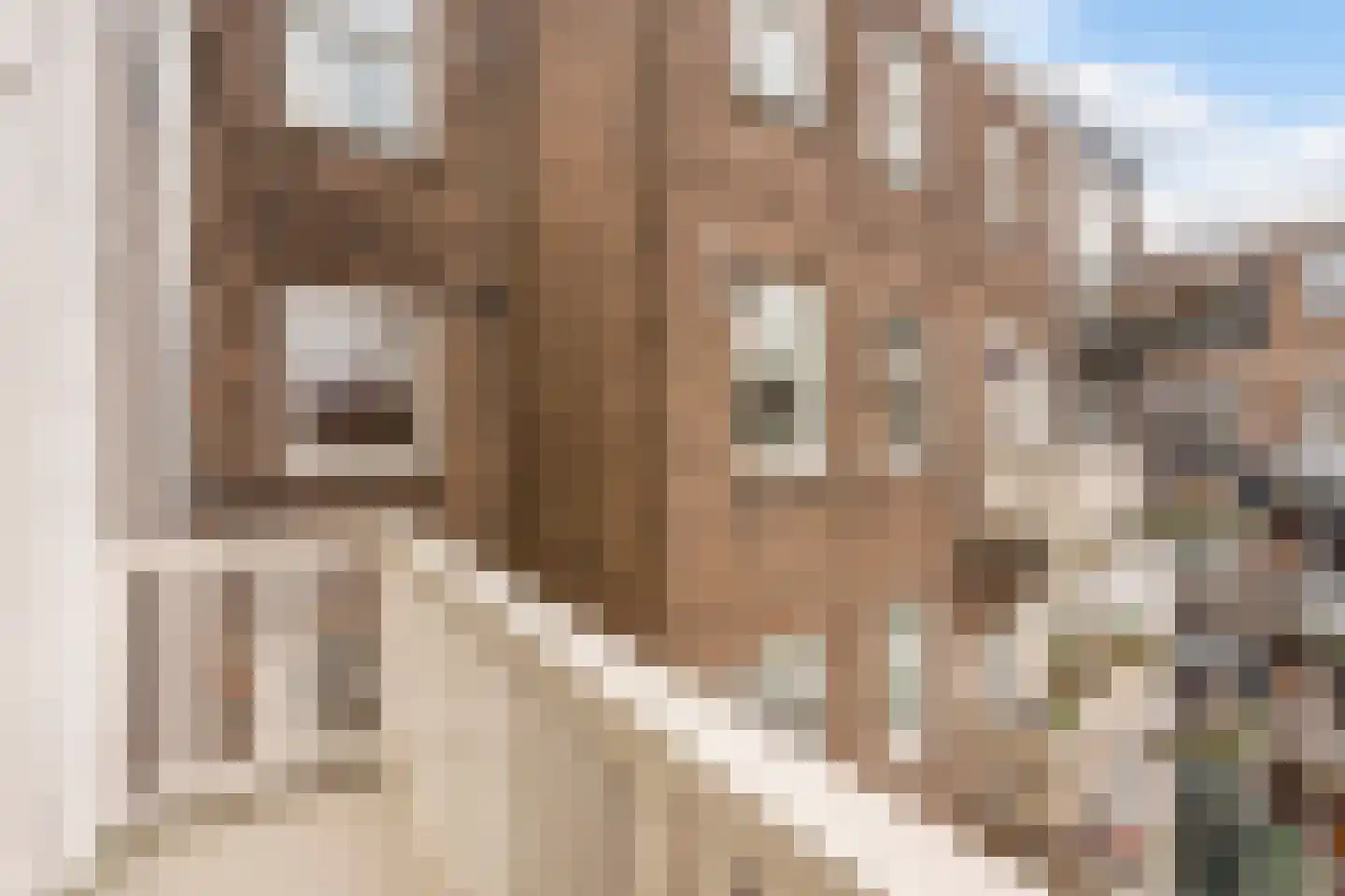 Pieter Aertszstraat 110 1 Amsterdam thumbnail 24