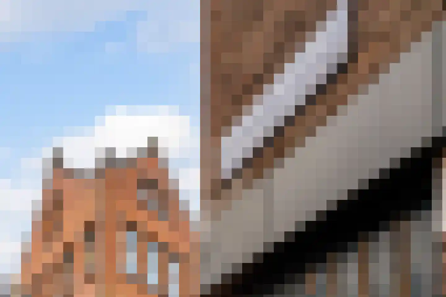 Pieter Aertszstraat 110 1 Amsterdam thumbnail 26