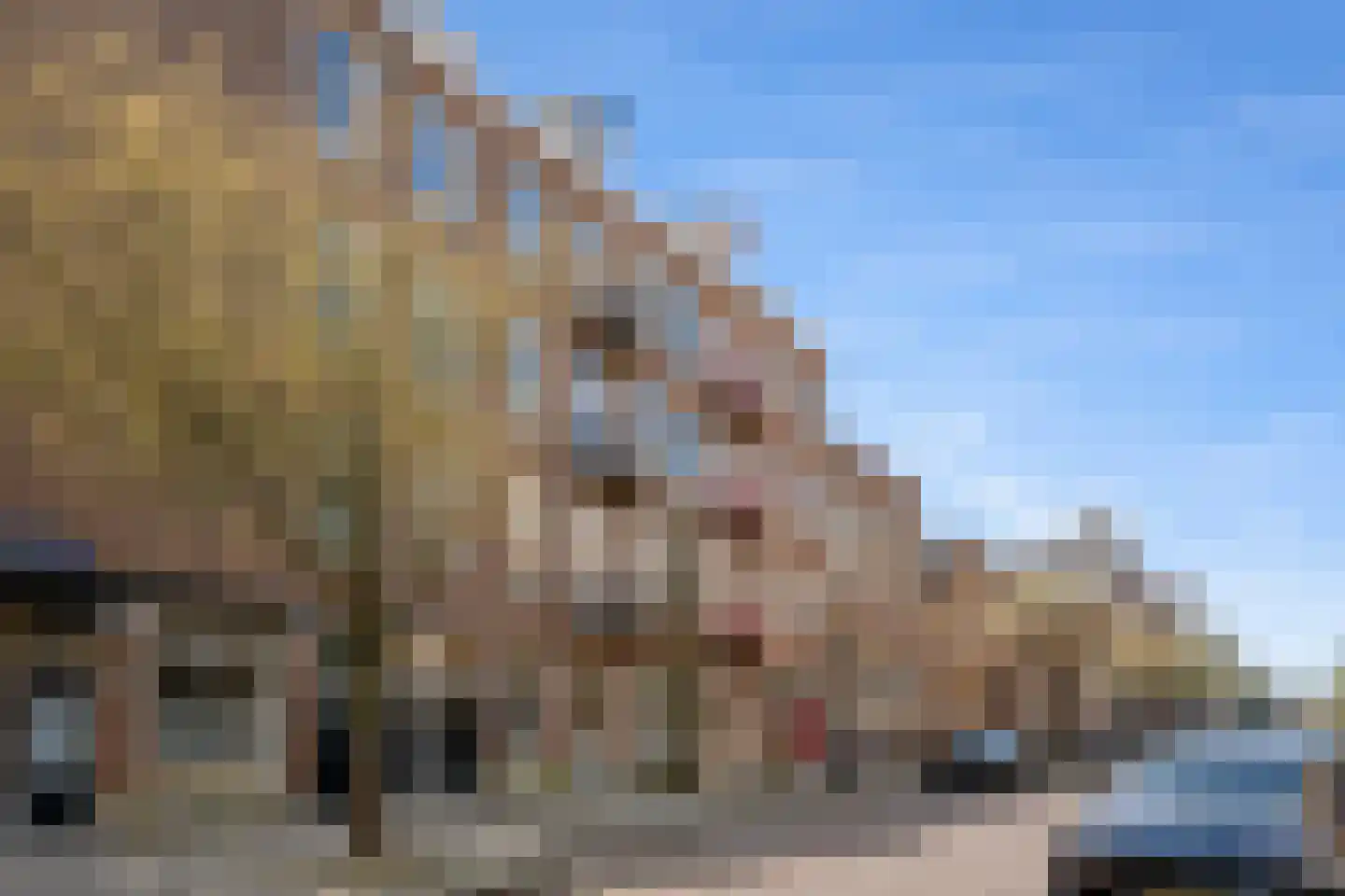 Pieter Aertszstraat 110 2 dans Amsterdam