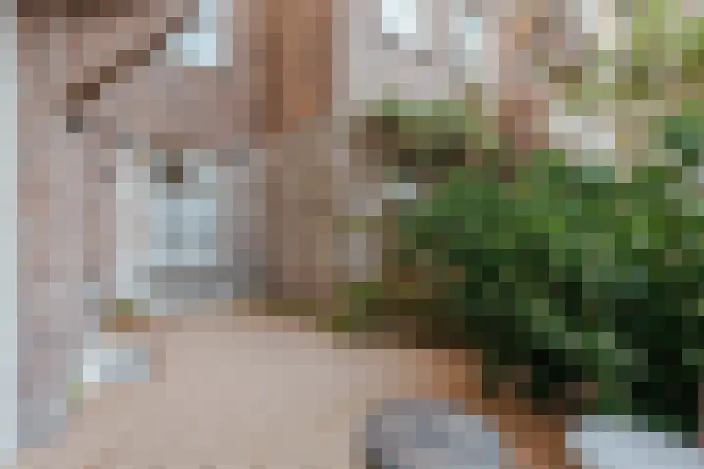 Pieter Aertszstraat 110 3 Amsterdam thumbnail 20