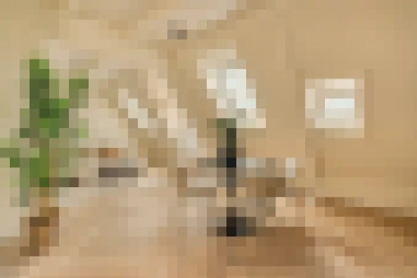 Pieter Aertszstraat 110 4 Amsterdam thumbnail 4