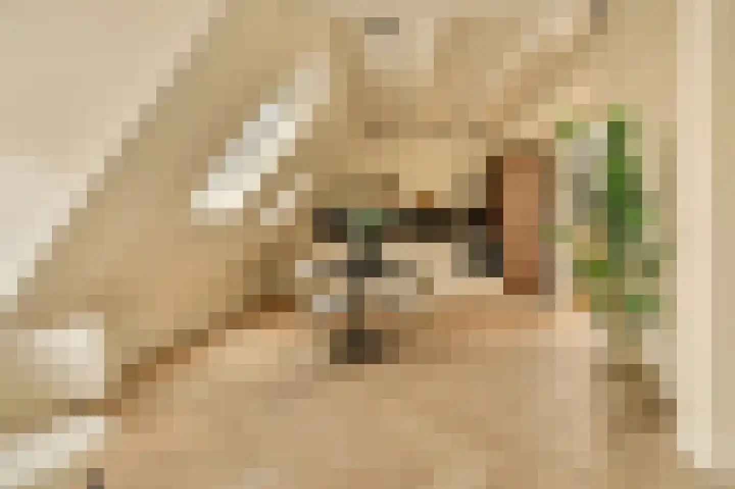 Pieter Aertszstraat 110 4 Amsterdam thumbnail 5