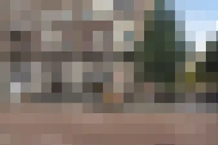 Pieter Aertszstraat 111 2 Amsterdam thumbnail 18